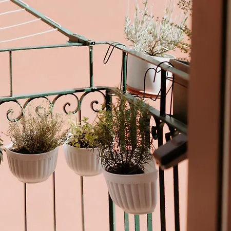 Il Castagno Apartamento *