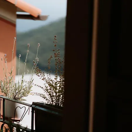 Il Castagno * Teriasca