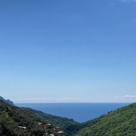 Il Castagno * Teriasca