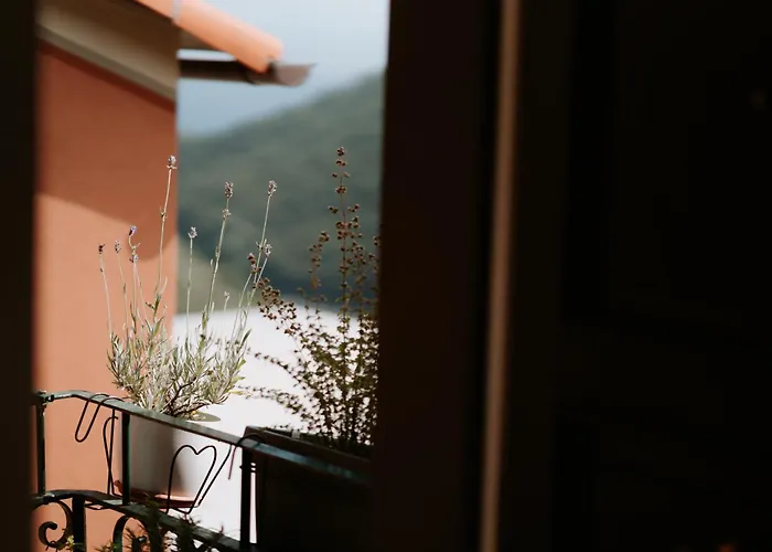 Il Castagno * Teriasca